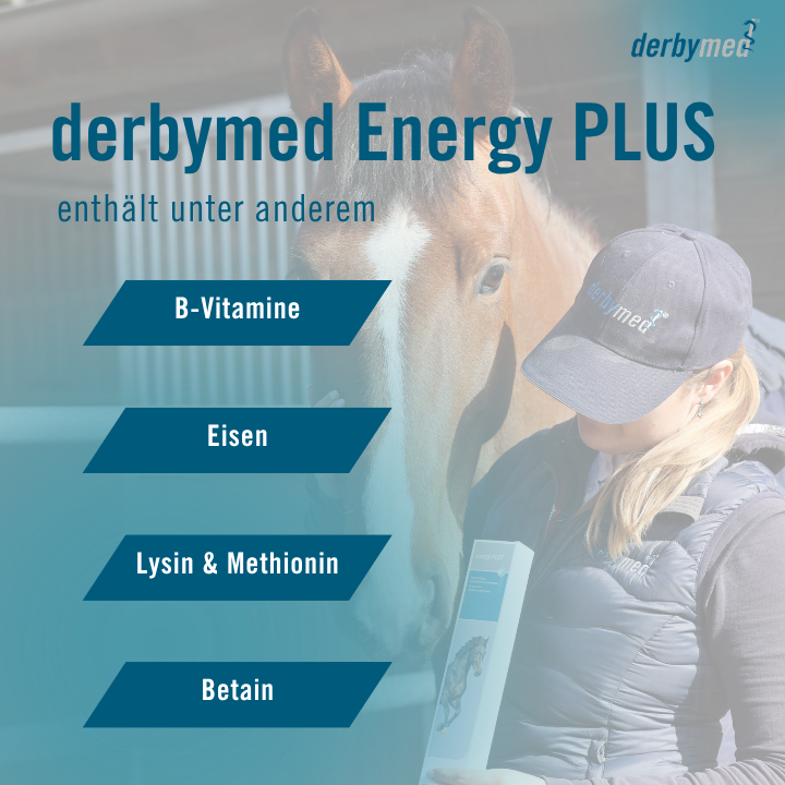 derbymed Energy Plus